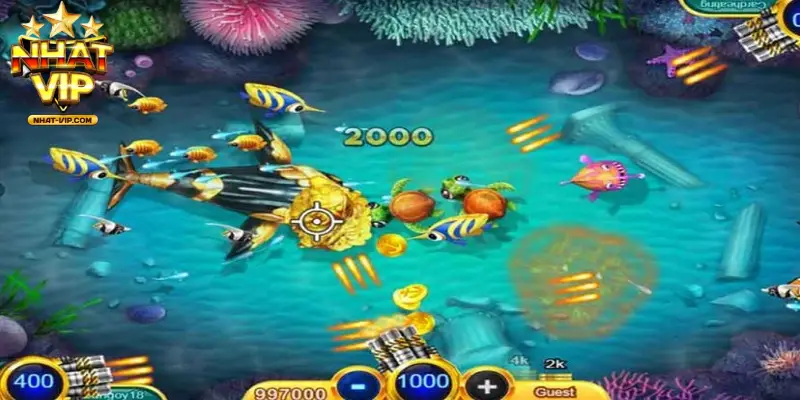 kinh nghiệm bắn cá